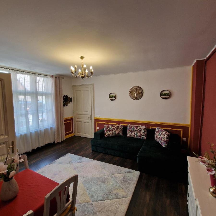 Central Park Apartment Sighişoara Dış mekan fotoğraf