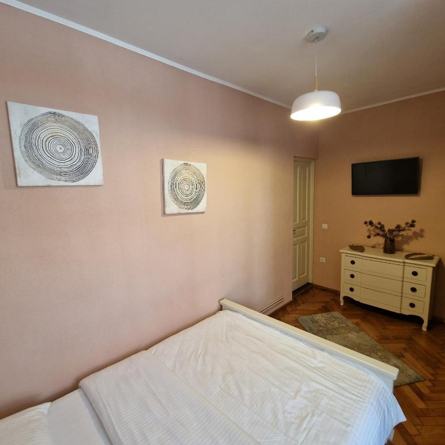 Central Park Apartment Sighişoara Dış mekan fotoğraf
