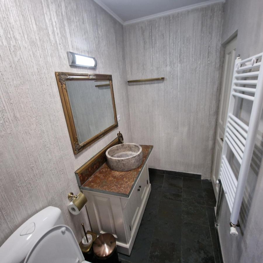 Central Park Apartment Sighişoara Dış mekan fotoğraf